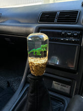 Load image into Gallery viewer, 4 inch hex with Mini T-Rex and a gold flake base Custom Shift