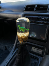 Load image into Gallery viewer, 4 inch hex with Mini T-Rex and a gold flake base Custom Shift