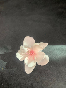 White with pink center Sakura