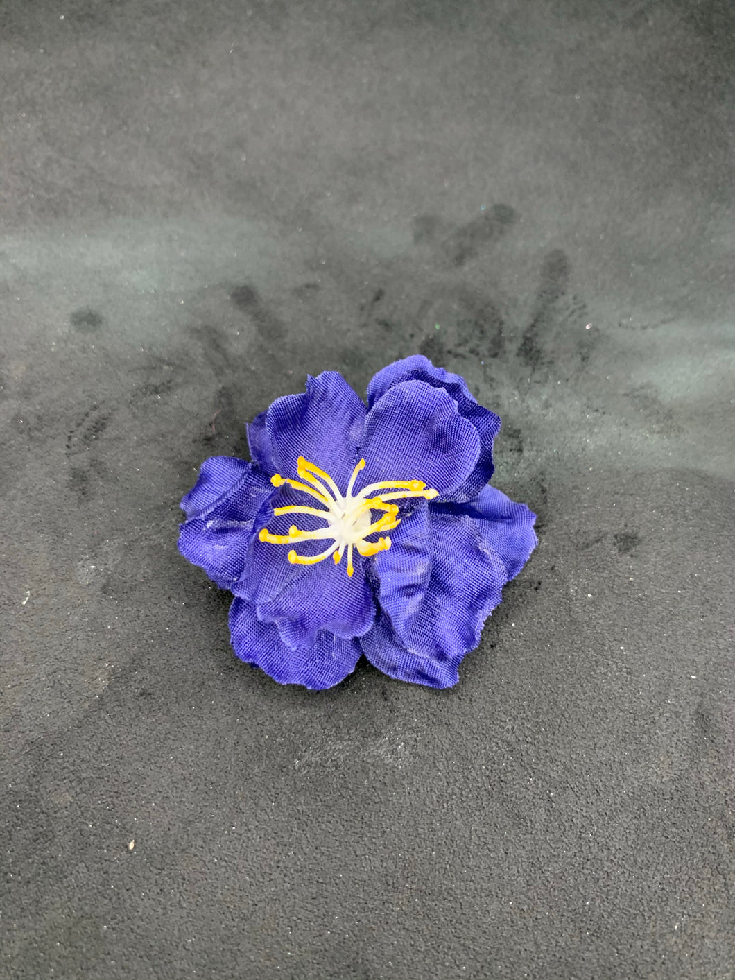 Dark blue cherry blossom