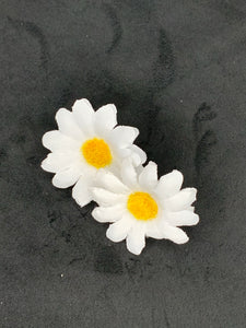 White daisy