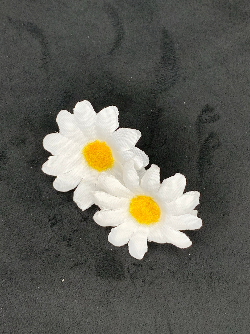 White daisy