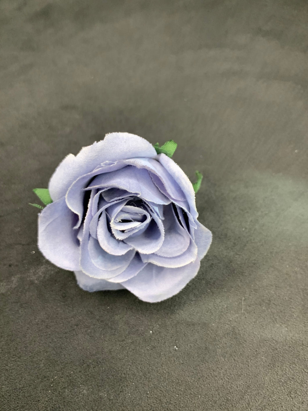 Blue-grey rose