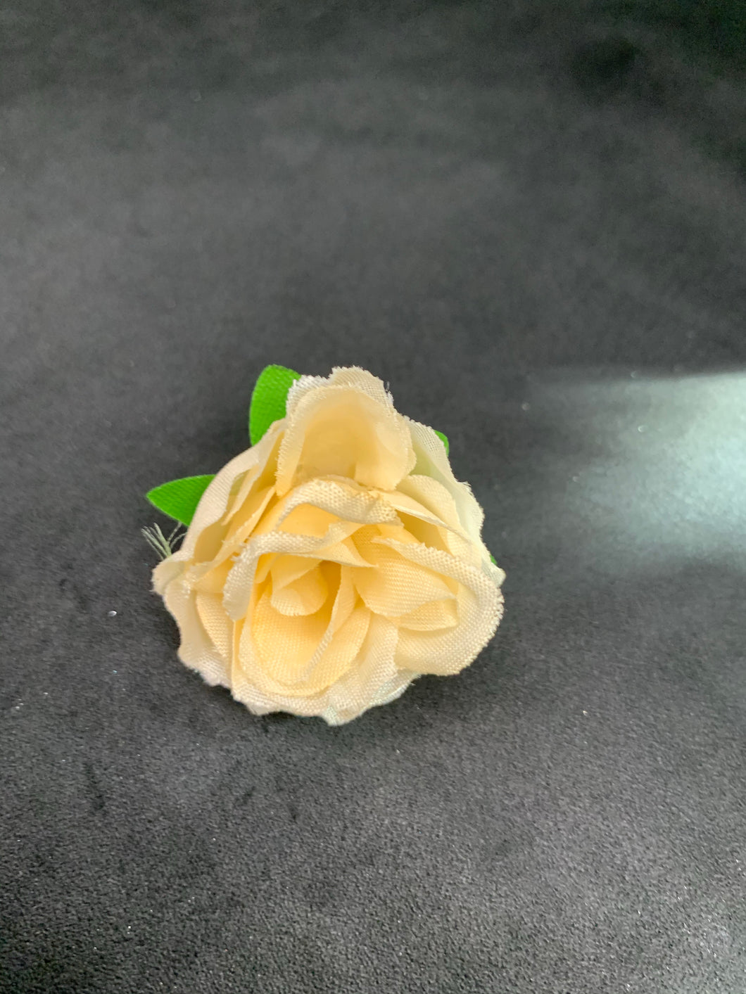 Light yellow rose