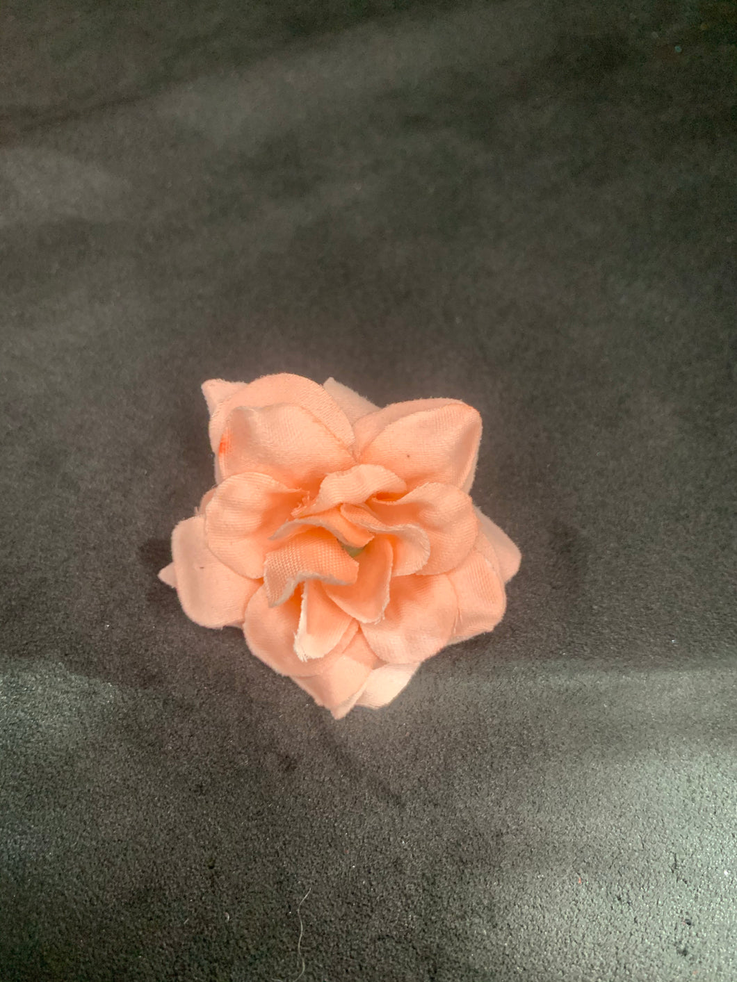Peach peony